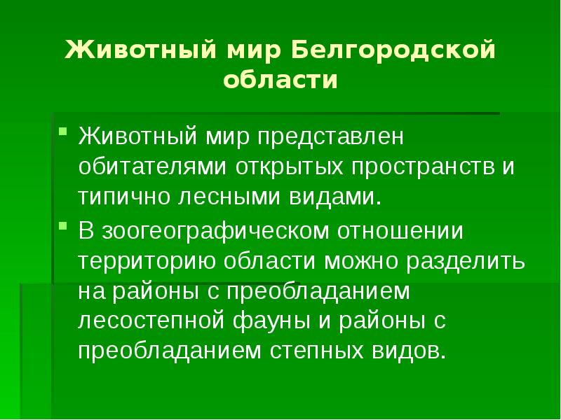 Животный мир белгородской области презентация