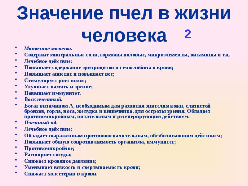 Значение пчел в природе проект