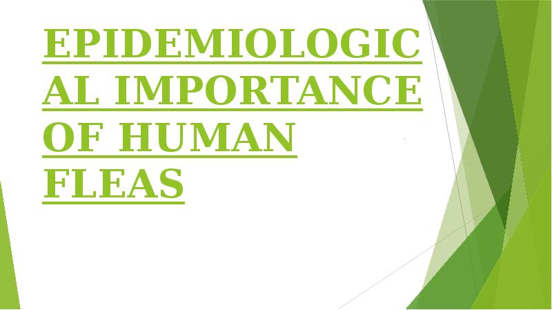 EPIDEMIOLOGICAL IMPORTANCE OF HUMAN FLEAS EPIDEMIOLOGICAL IMPORTANCE OF HUMAN FLEAS