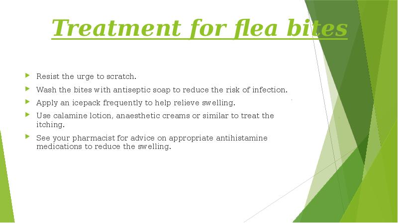 Treatment for flea bites
Resist the urge to scratch.
Wash the Treatment for flea bites
Resist the urge to scratch.
Wash the
