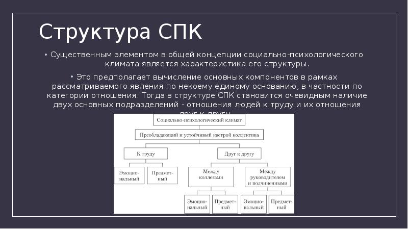 Состав спк. Состав спк