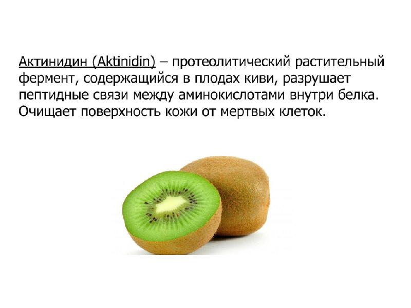 актинидин википедия. актинидин фермент. актинидин. актинидин. актинидин таблетки.