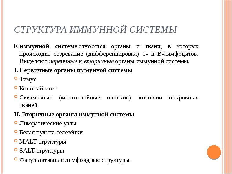 К органам иммунной системы относятся. Первичные вторичные и третичные структуры иммунной системы. Структура именной системы. Строение иммунной системы. Иерархия иммунной системы.