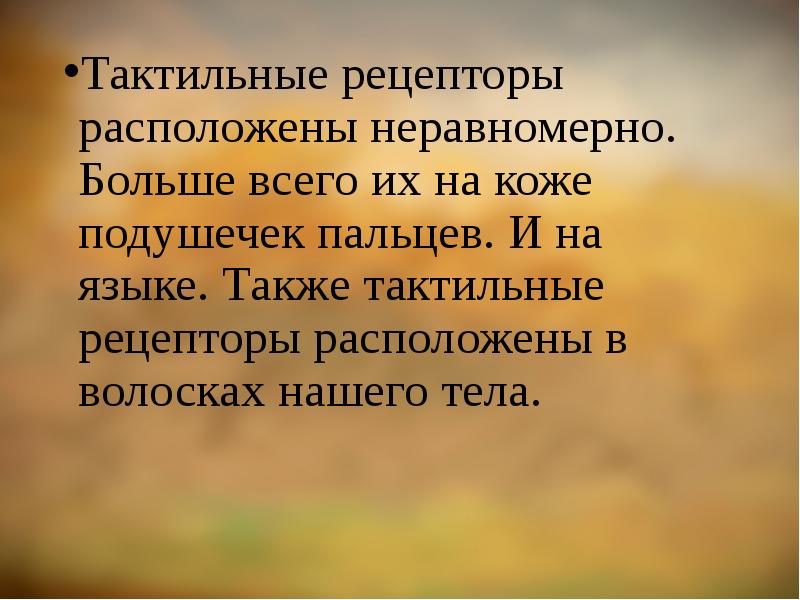 Тактильные рецепторы. Тактильные осязательные рецепторы находятся.