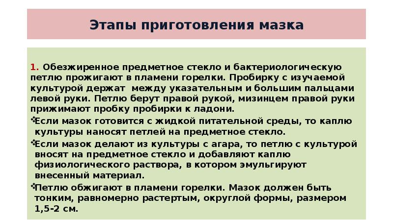 Методика изучения морфологии презентация