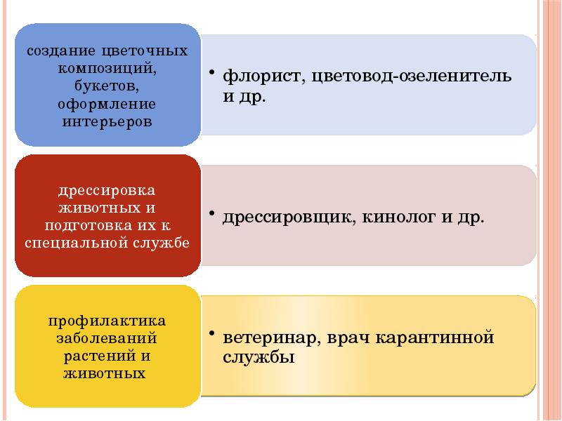 Основы выбора профессии 8 класс. Основы выбора профессии 8 класс