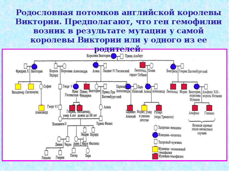 Гемофилия царская болезнь презентация