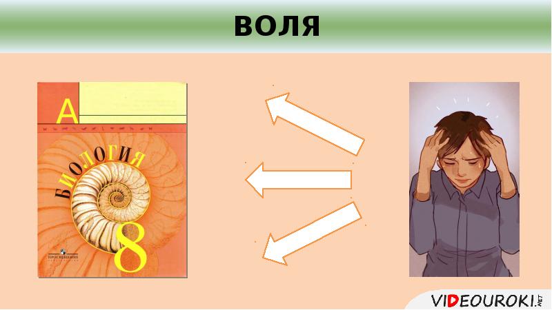 Речь воля. Биология ковид -19 рисунок.