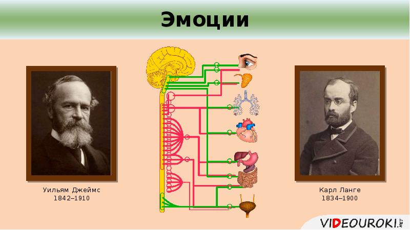 Уильям джеймс презентация