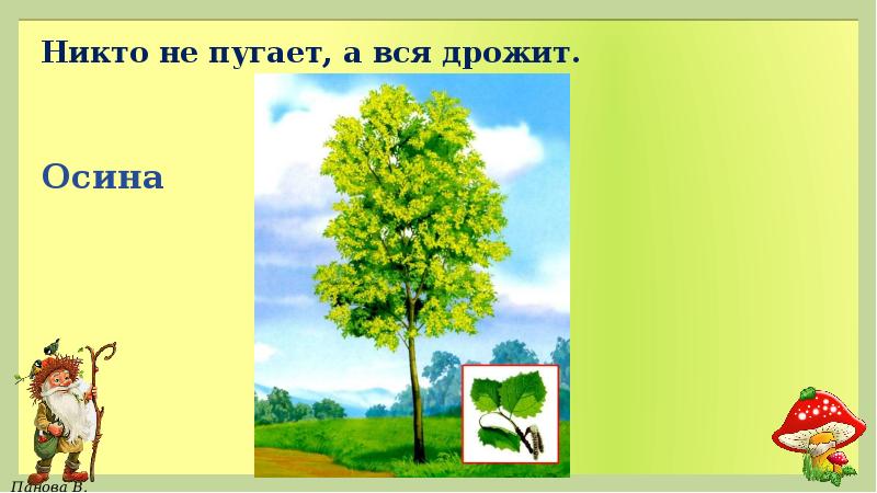 Никто не пугает а вся дрожит. Никто не пугает а вся. Загадка никто не пугает а вся дрожит ответ. Никто не пугает а вся дрожит кто это.