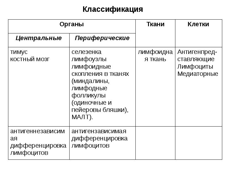 Средства влияющие на гемопоэз презентация