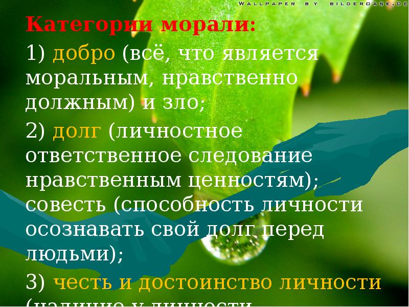 принцип следования нравственному примеру. моральные принципы примеры. проверочная работа на тему духовная сфера общества. нравственные катергориипримеры. нравственных ценностей честность.