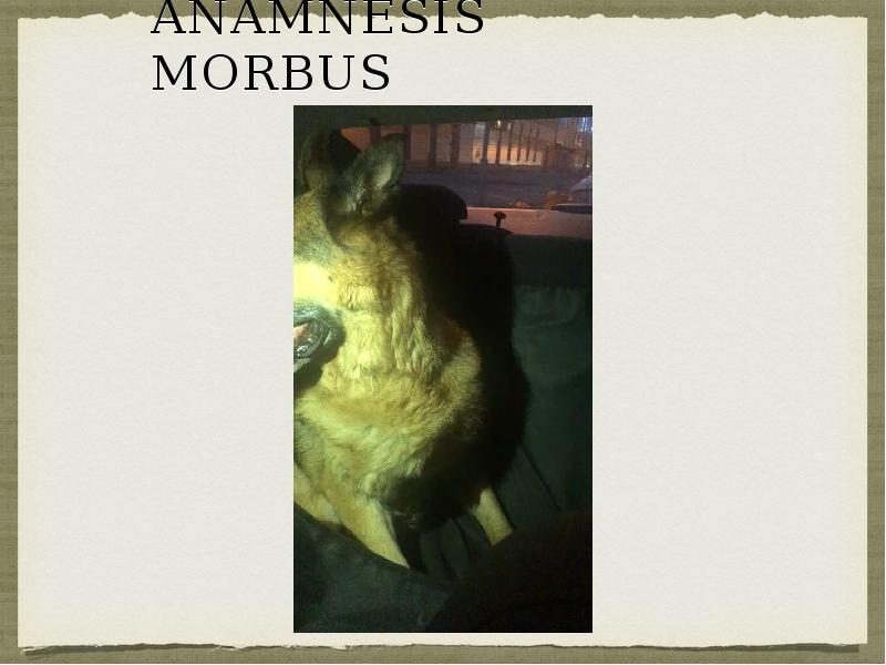 Anamnesis morbus