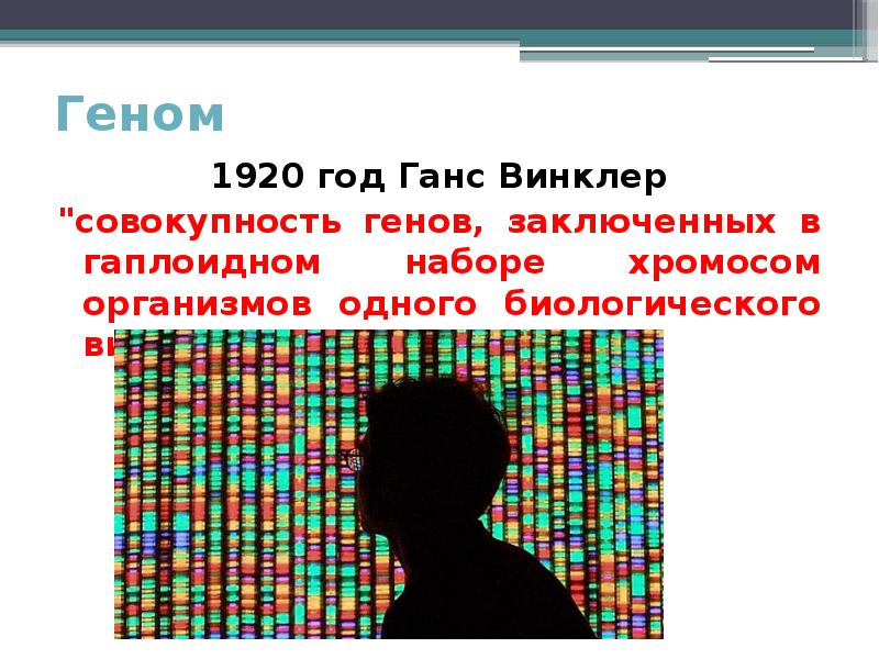 Совокупность всех генов гаплоидного набора хромосом. Проект геном человека. Ганс Винклер геном. Программа геном человека.