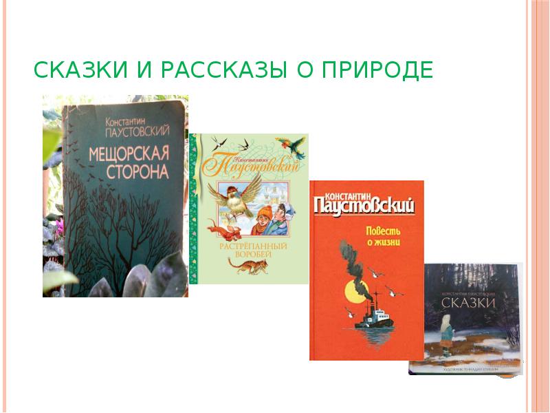 презентация рассказы паустовского