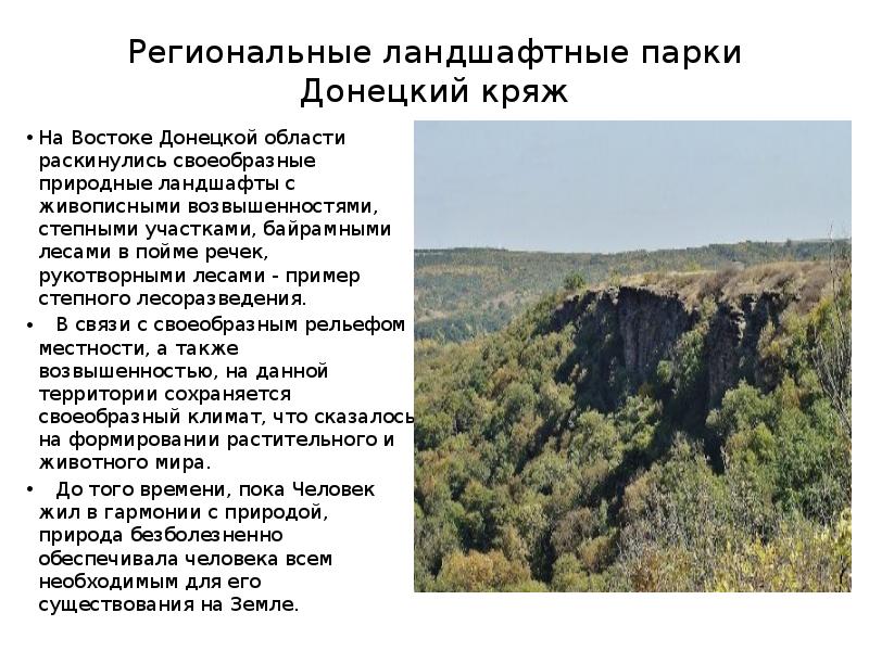 Заповедник донецкий кряж фото и рассказ