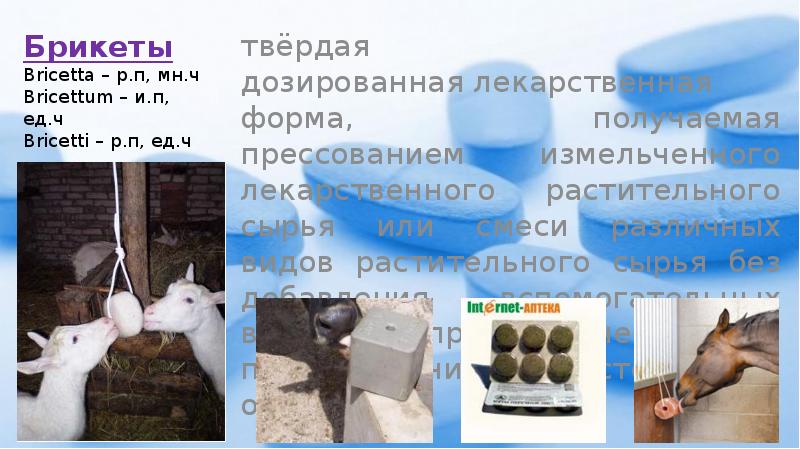 Брикеты Bricetta – р.п, мн.ч Bricettum – и.п, ед.ч Bricetti –