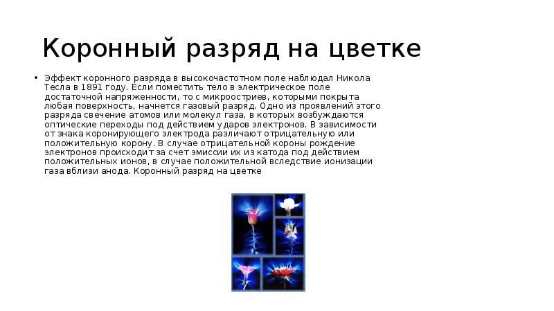 Коронный разряд на цветке
Эффект коронного разряда в высокочастотном поле Коронный разряд на цветке
Эффект коронного разряда в высокочастотном поле