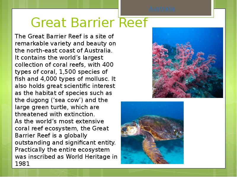 Great Barrier Reef
