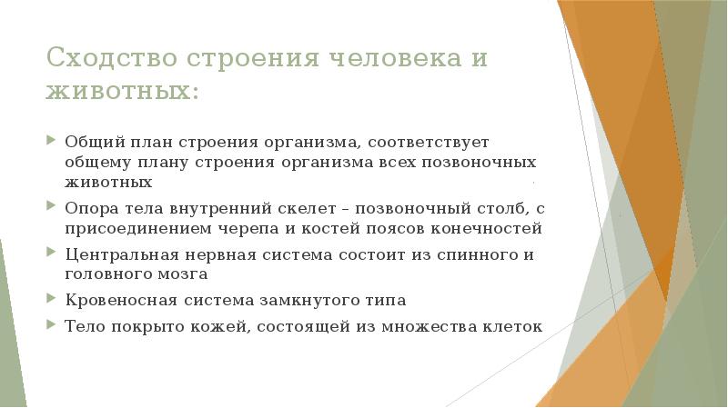 Сходство строение человека и животных. Сходство строение человека и животных