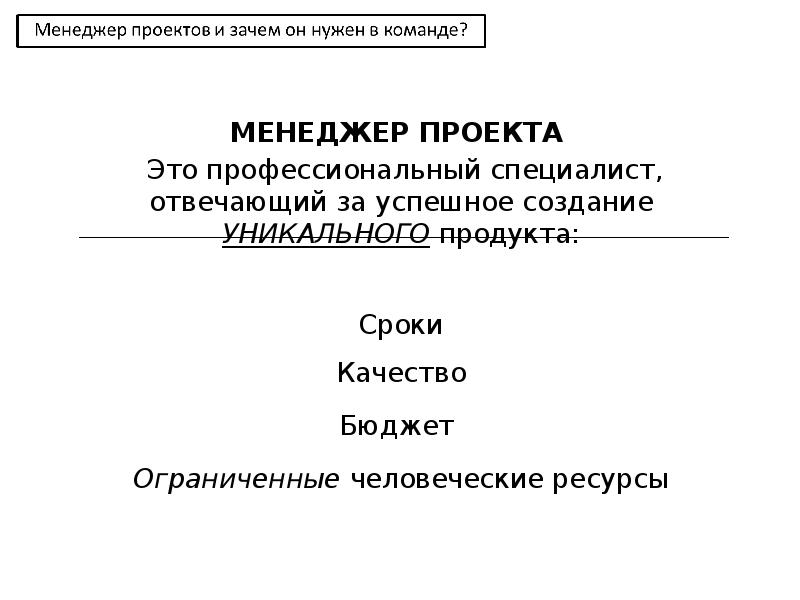 За что отвечает менеджер проекта