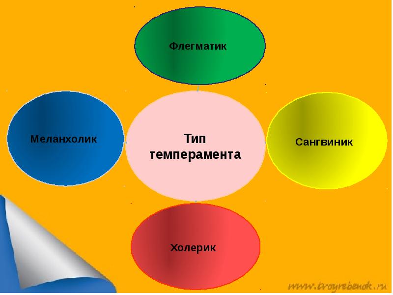 Презентация по темпераменту