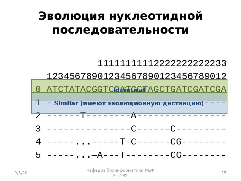 Идентичная последовательности