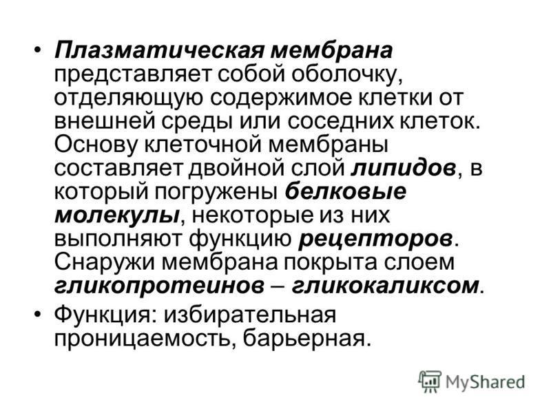 Структурно функциональная организация клеток. Структурно-функциональная организация клетки. Типы клеточной организации.