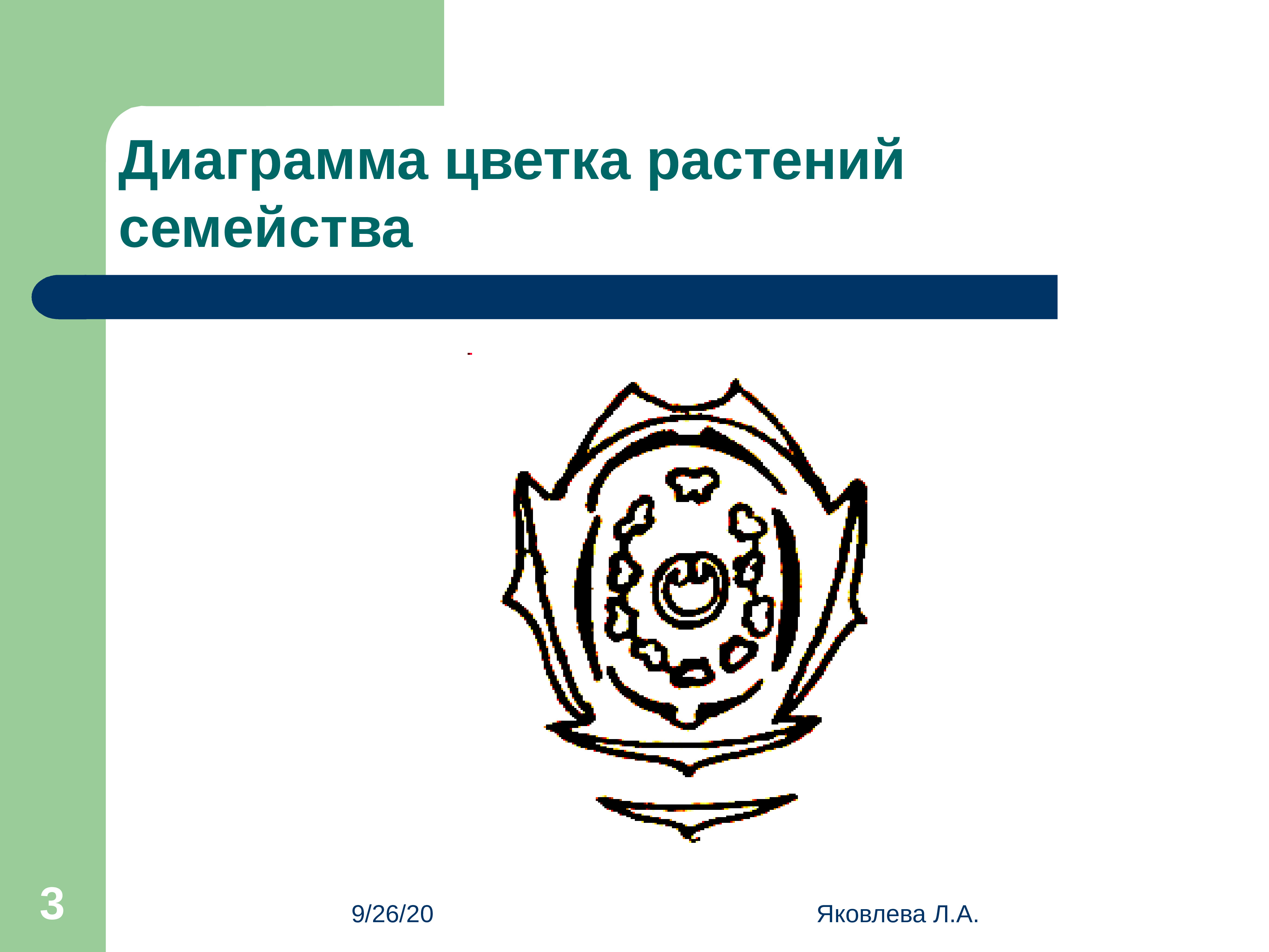 Диаграммы семейств. Диаграмма семейства мотыльковых. Семейство Мотыльковые диаграмма цветка. Диаграммы цветков семейства бобовые. Семейство бобовые формула цветка и диаграмма.