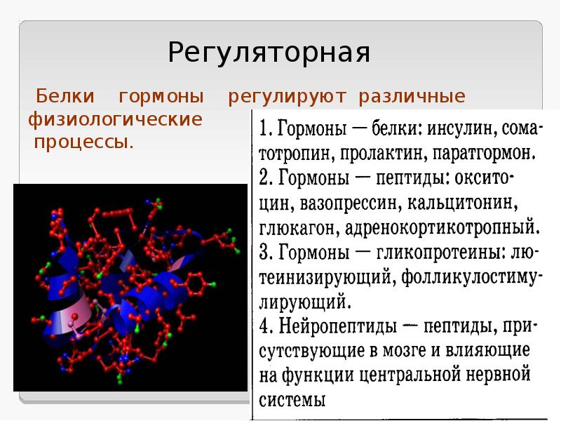 Функции белков презентация