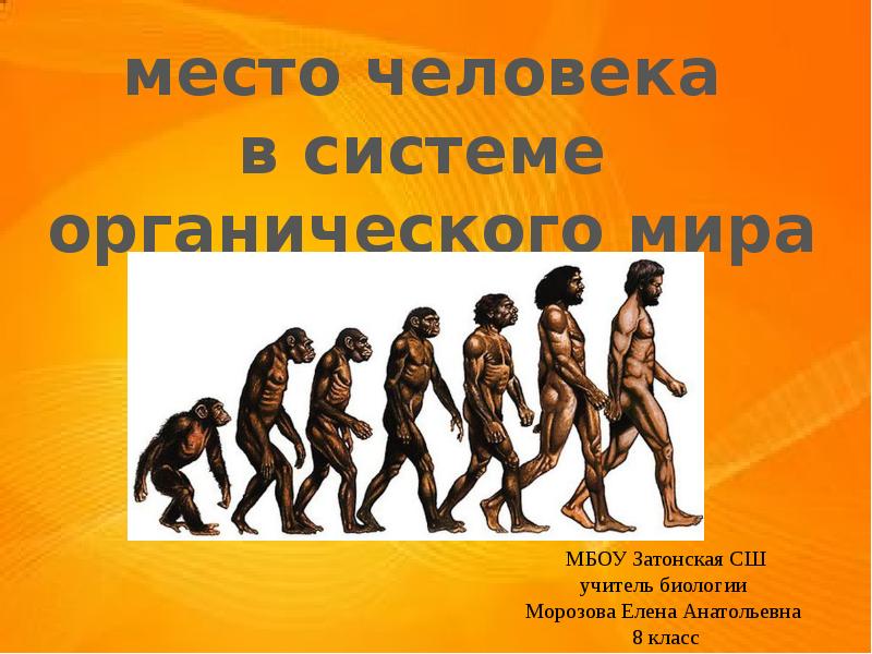 Человек и мир 8 класс. Человек в системе органического мира. Положение человека в системе органического мира. Место человека в органической системе. Место человека в органическом мире.