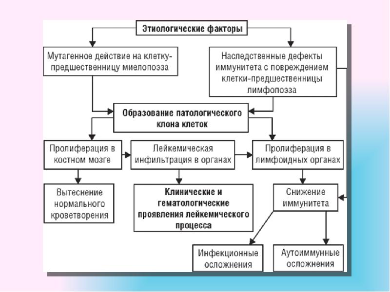 Патогенез хронического лимфолейкоза схема