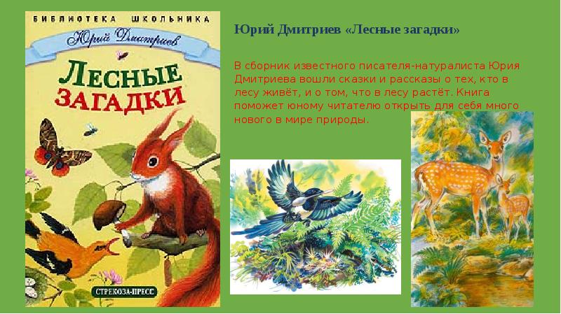 Мир животных в волшебных картинках книга