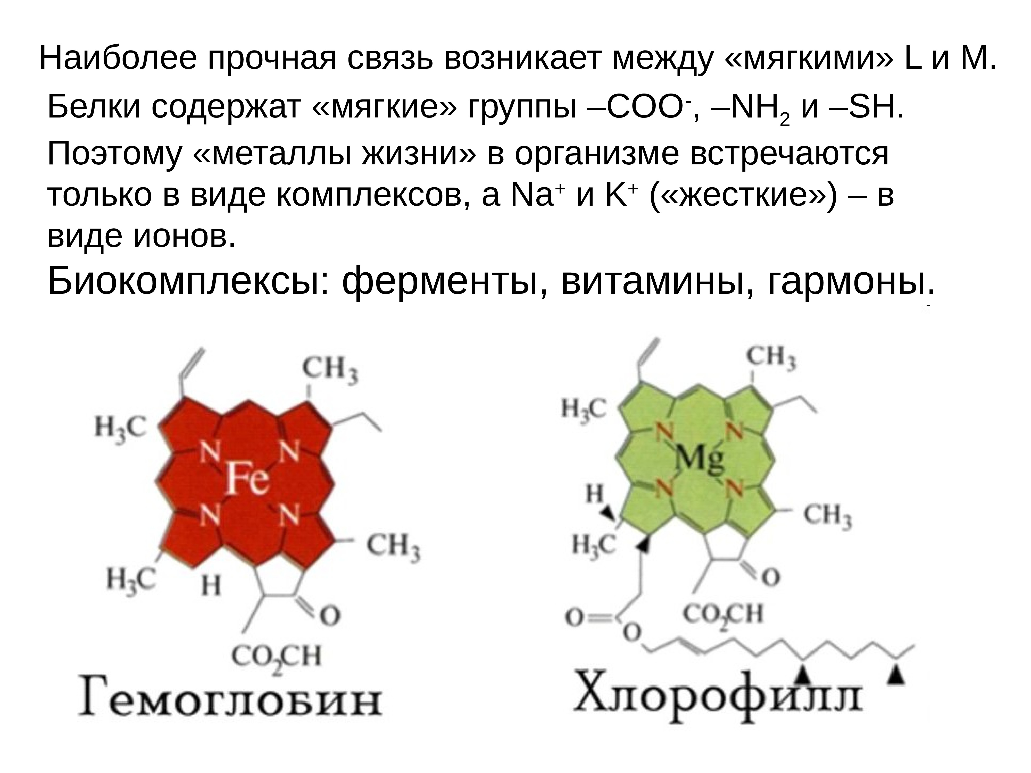 Пигмент хлорофилла содержится