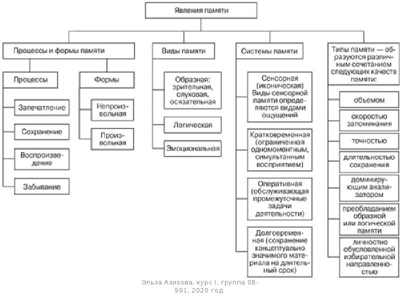 Память схема по психологии