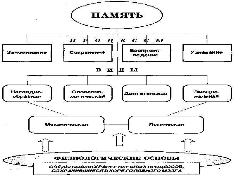 Нарушения памяти схема