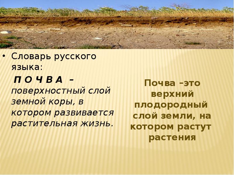 Как называется плодородный слой земли. Верхний плодородный слой земли на котором растут растения. Почва это верхний плодородный слой земли на котором растут растения. Ошибочное высказывание о почве. Укажи ошибочное высказывание почва это.