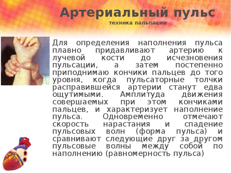 Сосудистая стенка вне пульсовой волны не пальпируется