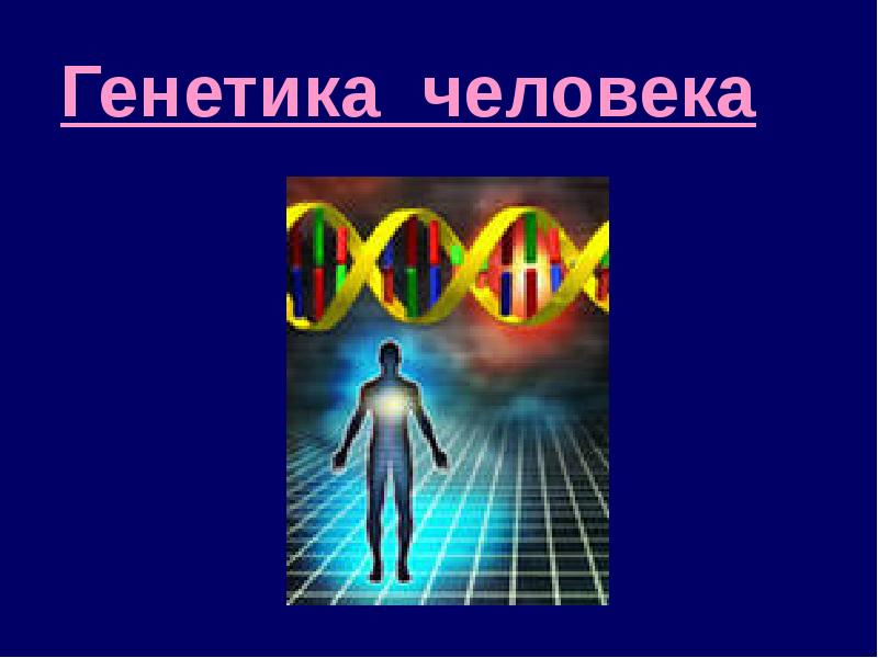 6 генетика человека. Генетика человека. Генетика человека презентация. Генетика человека картинки. Генотип человека.