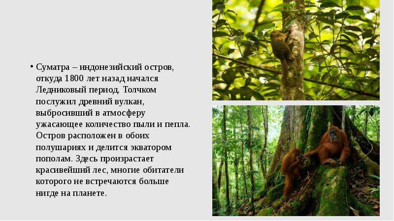Суматра – индонезийский остров, откуда 1800 лет назад начался Ледниковый период. Суматра – индонезийский остров, откуда 1800 лет назад начался Ледниковый период.