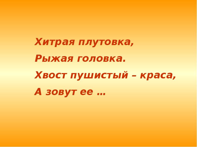 У высокий рост у пушистый хвост. Хитрая плутовка рыжая головка хвост пушистый Краса а зовут её. Загадки хитрая плутовка рыжая головка хвост пушистый Краса а зовут её. Хитрая плутовка рыжая головка. Пушистый хвост Краса что это.