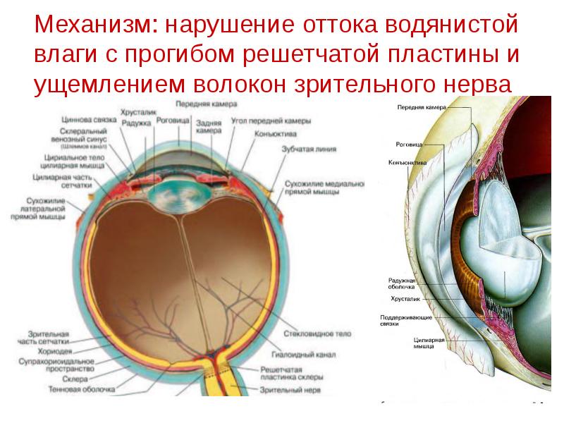 Отток влаги глаза