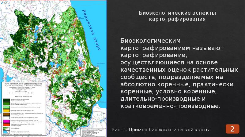 Экологическое картографирование презентация