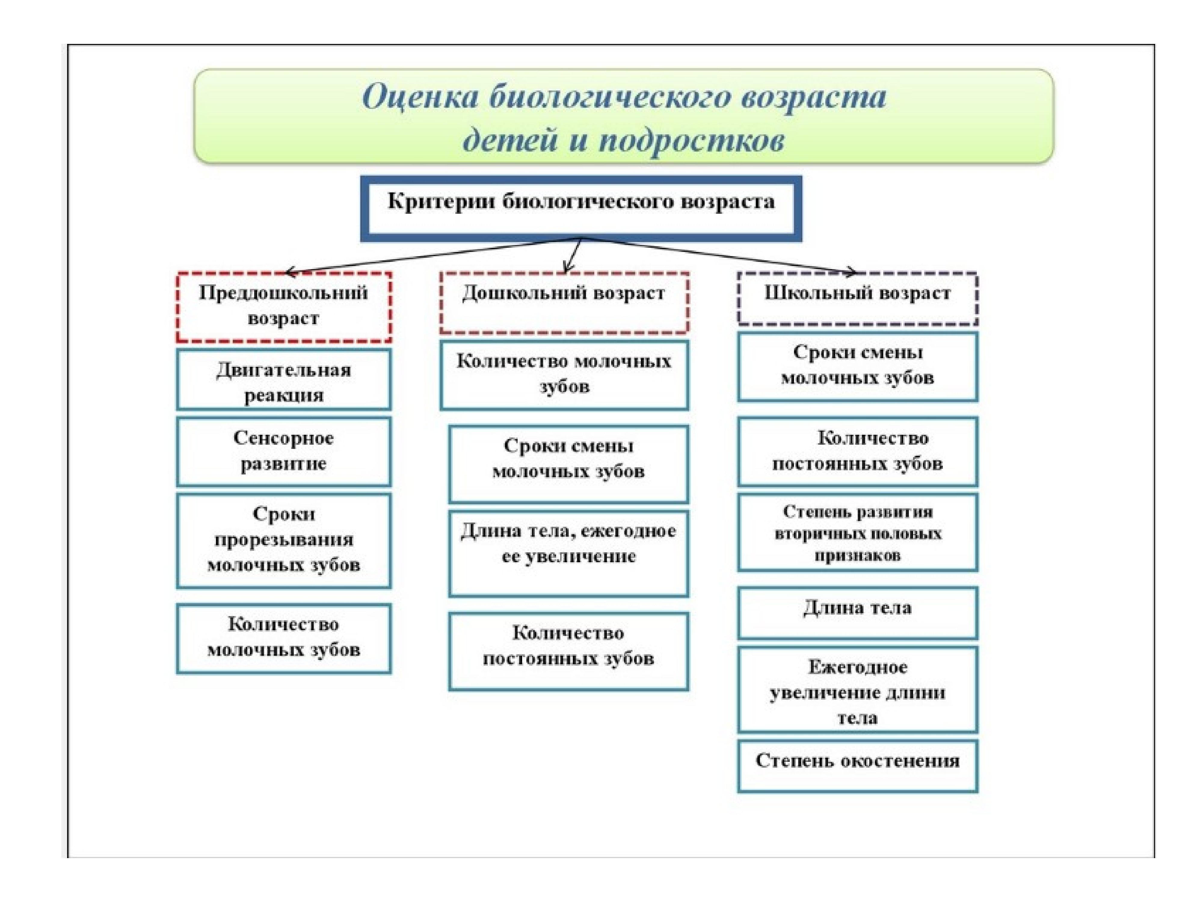 Оценка по возрасту. Методы определения биологического возраста у детей. Критерии оценки биологического возраста у детей. Критерии оценки биологического возраста подростков. Критерии оценки биологической зрелости.