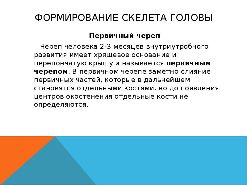 Формирование скелета