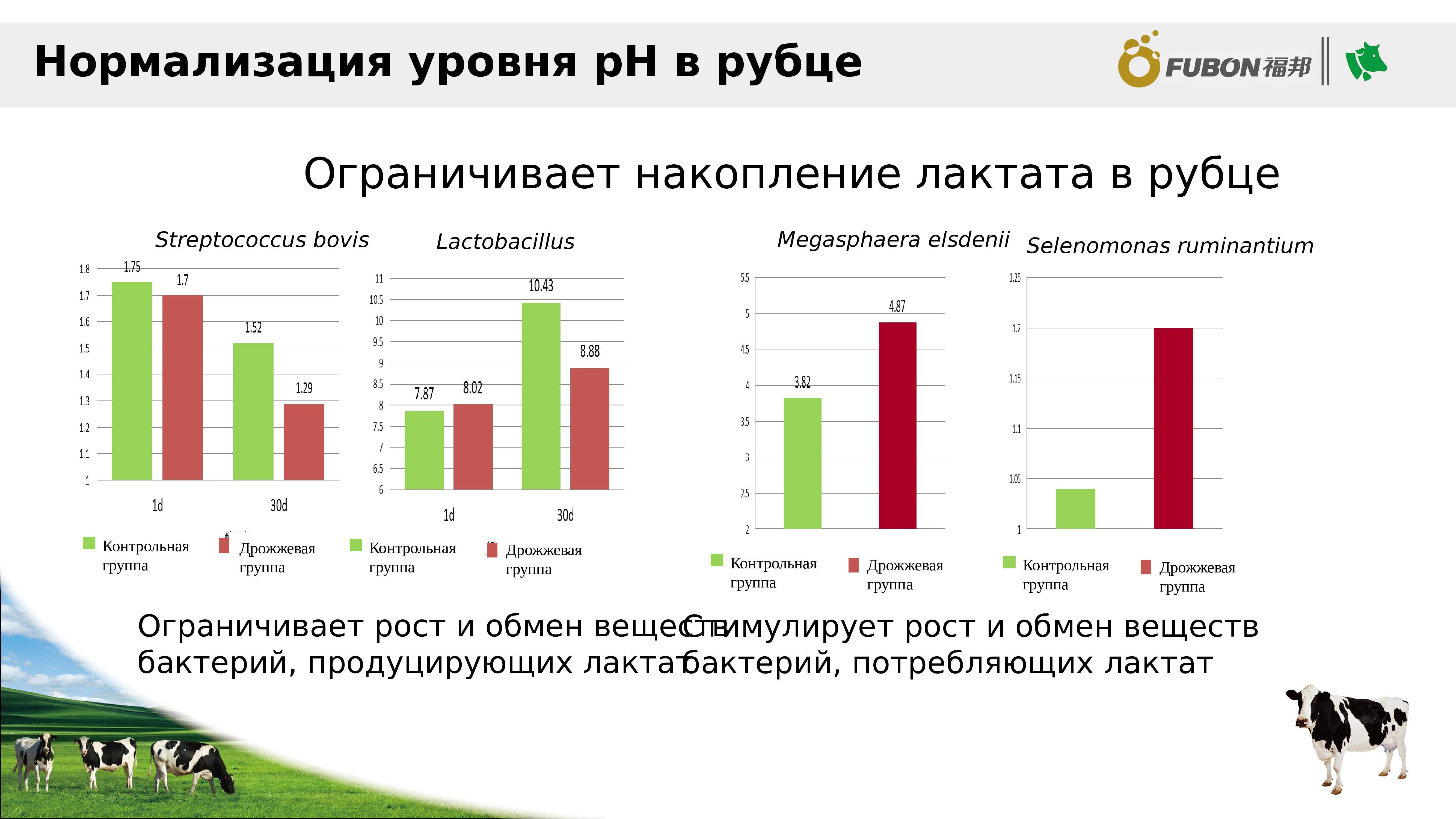 Нормализовать показатель. Нормализация показателей. Уровней нормализации.