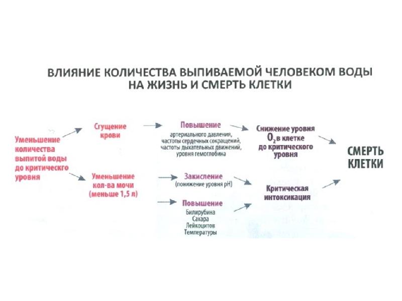 Влияние количества. Влияние воды на кровь. Влияние человека на количество воды. Как вода влияет на кровь. Влияние воды в жизни человека.