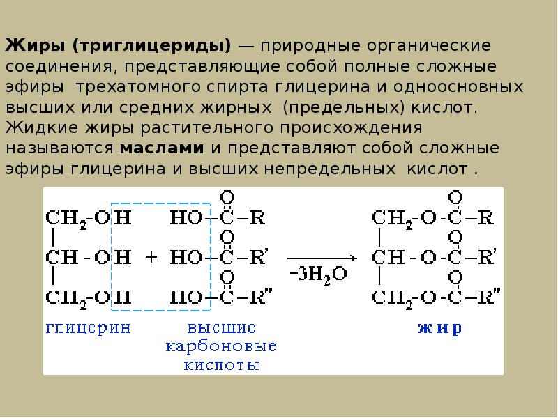 Вы точно человек?