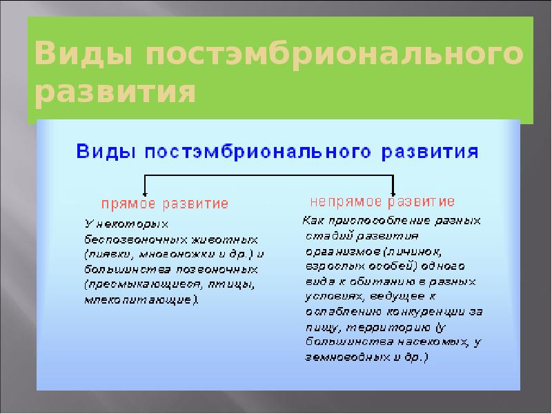 9 класс постэмбриональное развитие презентация