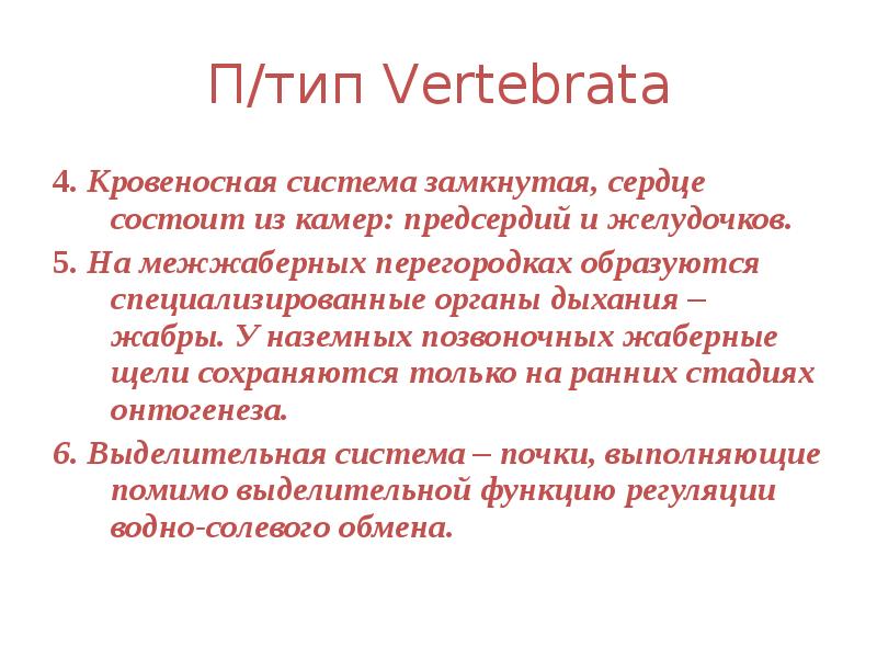 П/тип Vertebrata 4. Кровеносная система замкнутая, сердце состоит из камер: предсердий